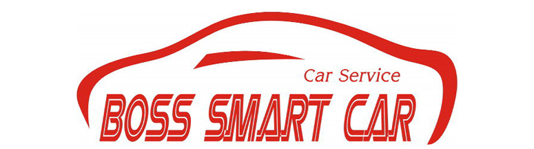 BOSS SMART CARS