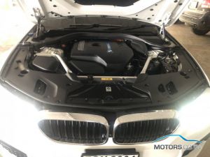 Secondhand BMW 530I (2018)